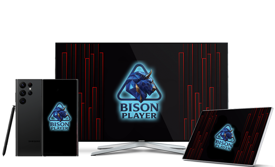 TV Display